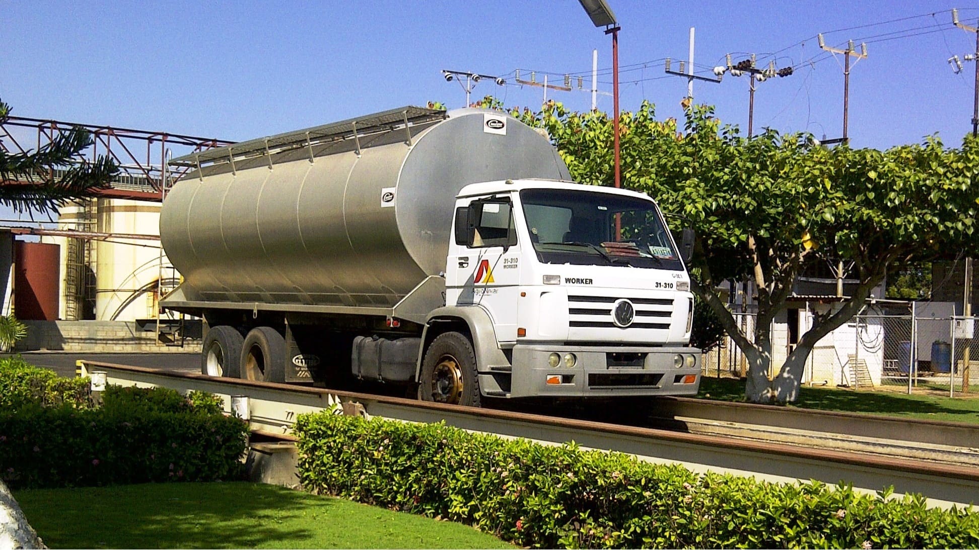 Crecimiento y Adaptación